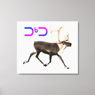 Impressão Em Tela Tuktu - Cariou