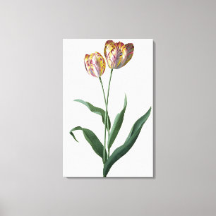 Impressão Em Tela Tulip