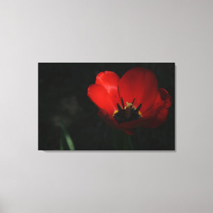 Impressão Em Tela Tulip Vermelho