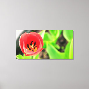 Impressão Em Tela Tulipa