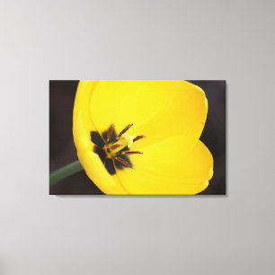 Impressão Em Tela Tulipa Amarela Aberta em Tela Envolvida