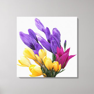 Impressão Em Tela Tulipa floral bonito e colorida