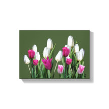 Tulipa floral digital cor-de-rosa bonito