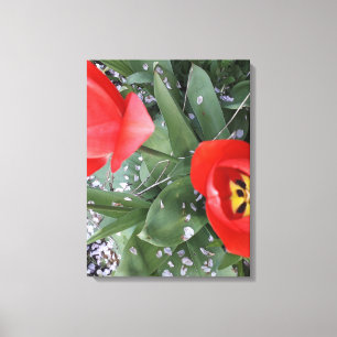 Impressão Em Tela tulipa vermelha