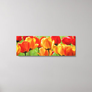 Impressão Em Tela Tulipas Amarelas E Vermelhas