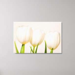 Impressão Em Tela Tulipas brancas contra um fundo branco,