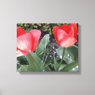 Impressão Em Tela Tulipas de jardim