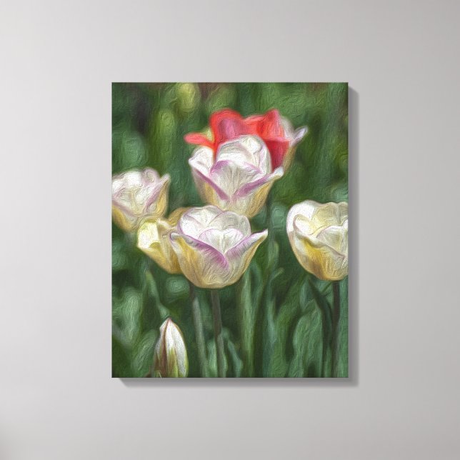 Impressão Em Tela Tulipas de Pastel (Frente)