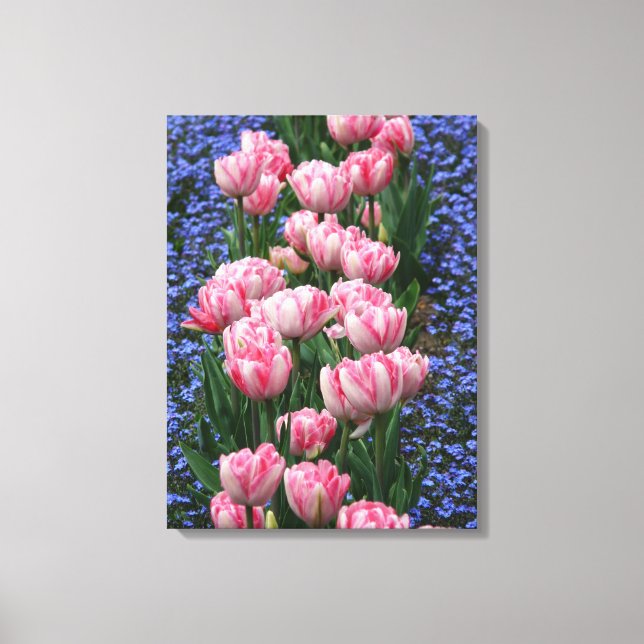 Impressão Em Tela Tulipas Rosa-canvas (Frente)
