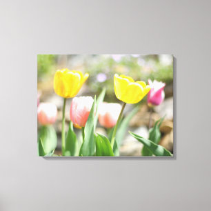 Impressão Em Tela Tulipas rosa e amarela