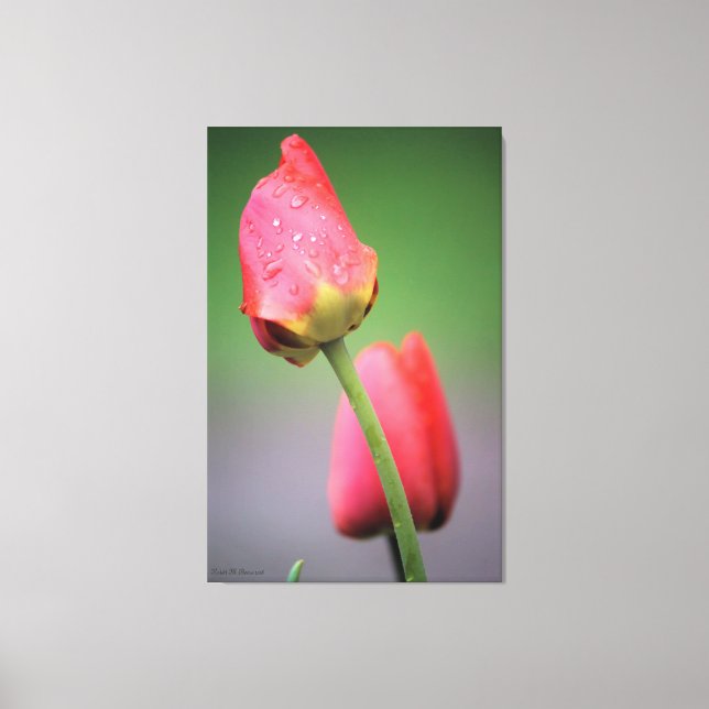 Impressão Em Tela Tulipas Rosa Tela de Fotografia Impressão (Frente)