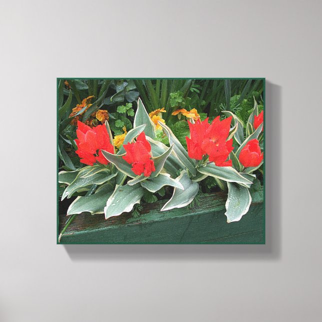 Impressão Em Tela Tulipas vermelhas bonito florais na moda brilhante (Frente)