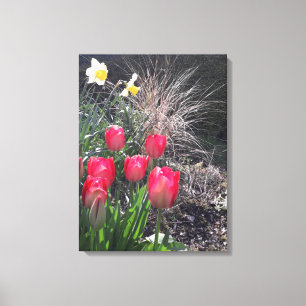 Impressão Em Tela Tulipas vermelhas no jardim