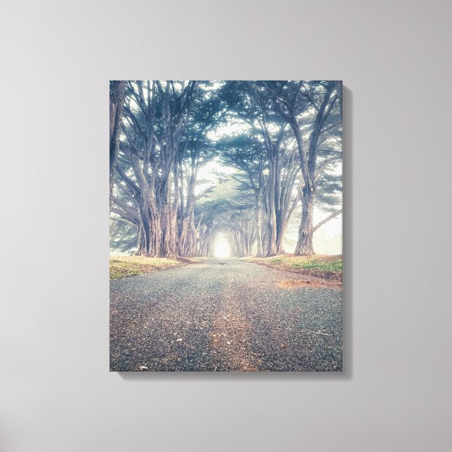 Impressão Em Tela Túnel Cipress (Frente)