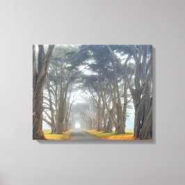 Impressão Em Tela Túnel Cipress