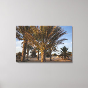 Impressão Em Tela Tunísia, Deserto do Saara, Douz, Grande Duna, palm