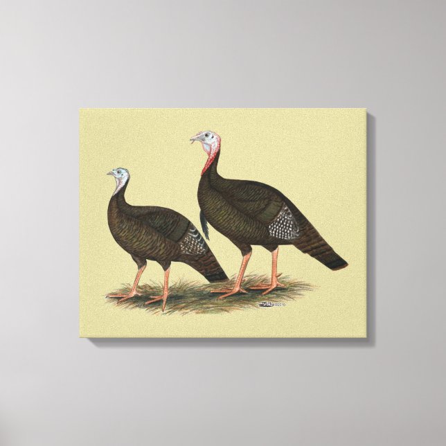 Impressão Em Tela Turkeys East Wild Pair (Frente)