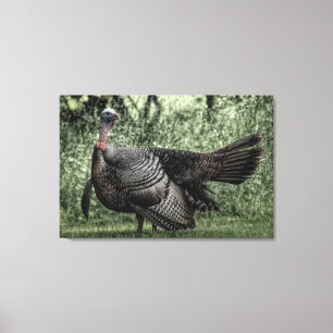 Impressão Em Tela Turquia no bosque - Poster Verde da Sage