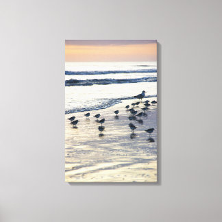 Impressão Em Tela Tybee Island - Morning Chill