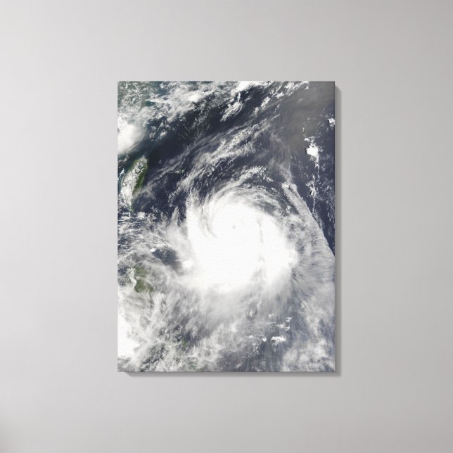 Impressão Em Tela Typhoon Ewiniar (Frente)