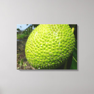 Impressão Em Tela Ulu ou frutas-pão