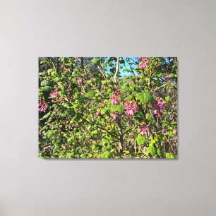 Impressão Em Tela Um Blooming California: Corrente Rosa