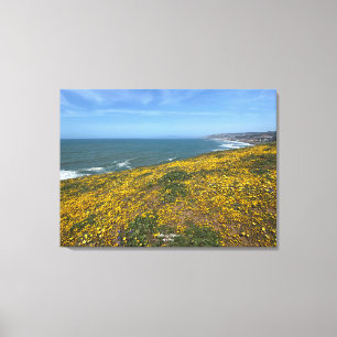 Impressão Em Tela Um Blooming California: Mori Point