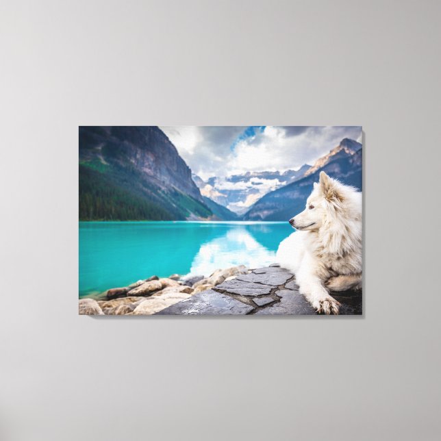 Impressão Em Tela Um cão branco sentado numa formação de rocha (Frente)