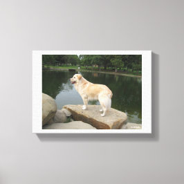 Impressão Em Tela Um Cão Em Um Lago
