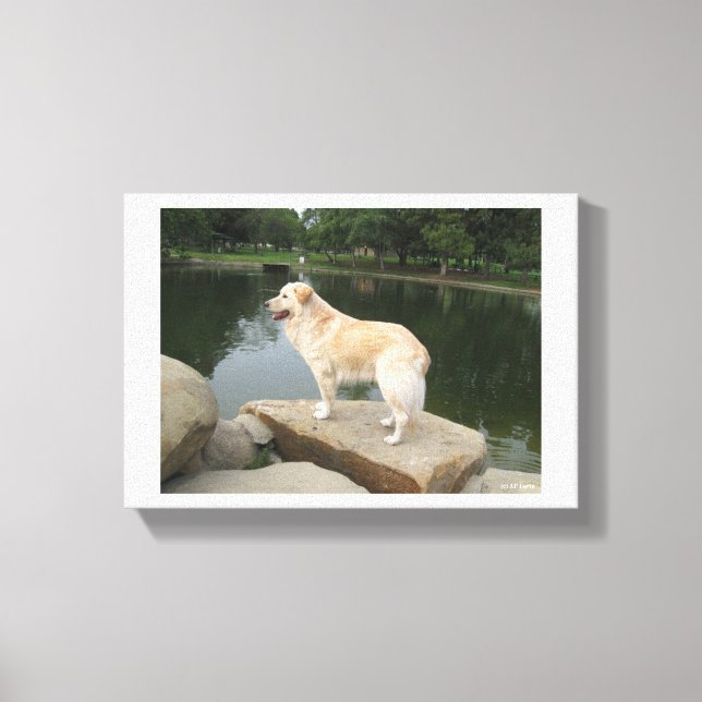 Impressão Em Tela Um Cão Em Um Lago (Frente)