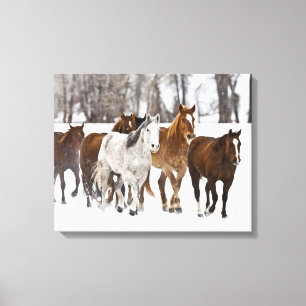 Impressão Em Tela Um Cena de Inverno de Cavalos Correntes