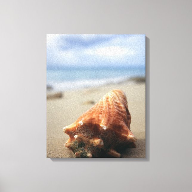 Impressão Em Tela Um Conch Shell Na Praia | Ruas Croix, Usvi (Frente)
