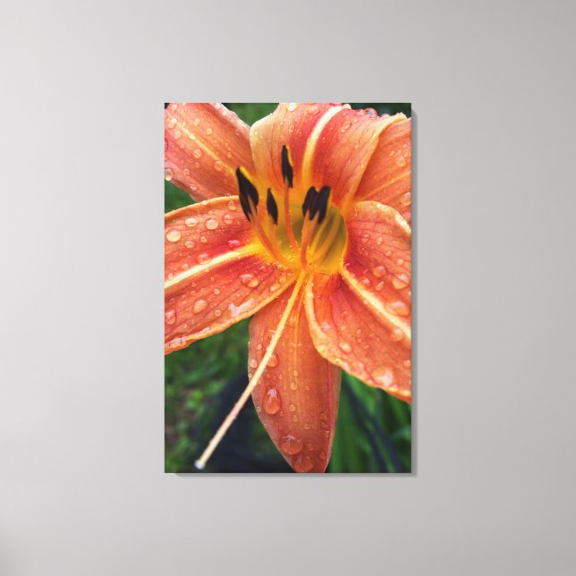 Impressão Em Tela Um dia de lily (Frente)