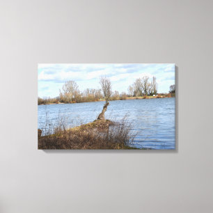 Impressão Em Tela Um dia ensolarado no rio