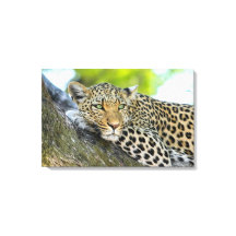 Um Diário do Leopardo