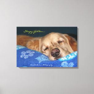 Impressão Em Tela Um golden retriever sonolento