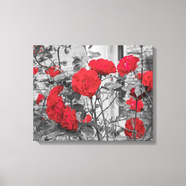 Impressão Em Tela um grupo de rosas vermelhos na impressão de tela (Frente)
