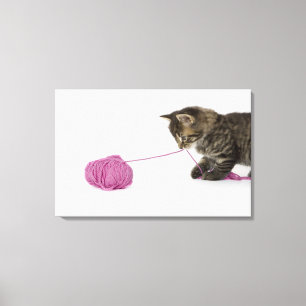 Impressão Em Tela Um jogo novo do gatinho do gato malhado