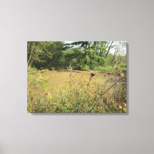 Impressão Em Tela Um lance na Arte do Muro da Fotografia