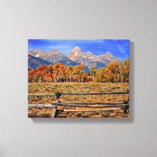 Impressão Em Tela Um momento em Wyoming no outono