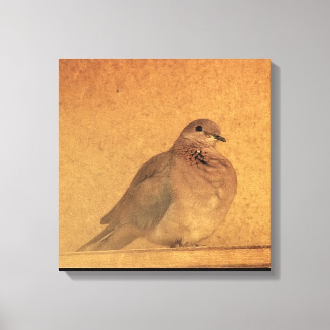 Impressão Em Tela Um Momento Inocente (Frente)