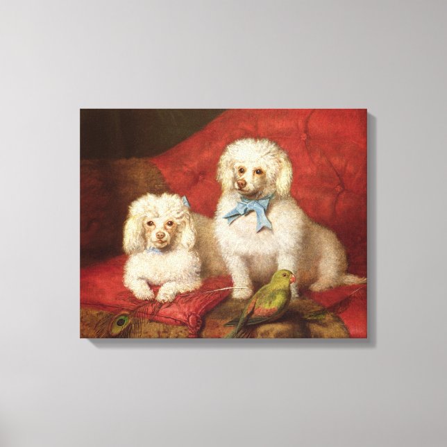 Impressão Em Tela Um par de poodles (Frente)