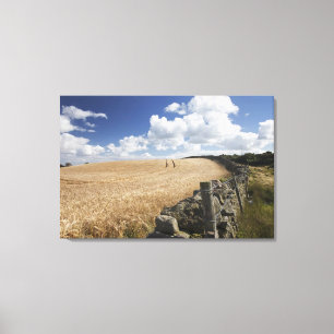 Impressão Em Tela Uma cerca do arame farpado construída ao longo de