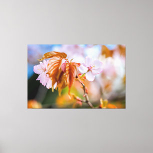 Impressão Em Tela Uma Charmosa Flor de Sakura Num Galho em Primavera