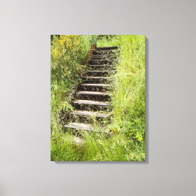Impressão Em Tela Uma escada na grama (Frente)