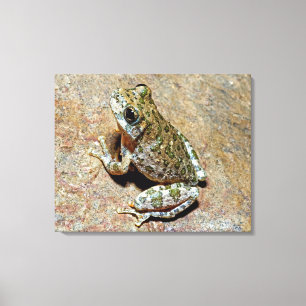 Impressão Em Tela Uma garganta Treefrog
