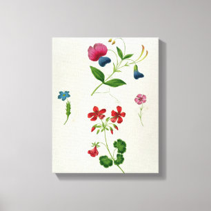 Impressão Em Tela Uma ilustração 'de um tratado novo na flor Pai
