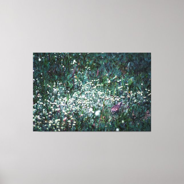 Impressão Em Tela Uma Laranja num Prado (Frente)