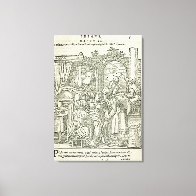 Impressão Em Tela Uma mulher no trabalho, ilustração do capítulo 2,  (Frente)