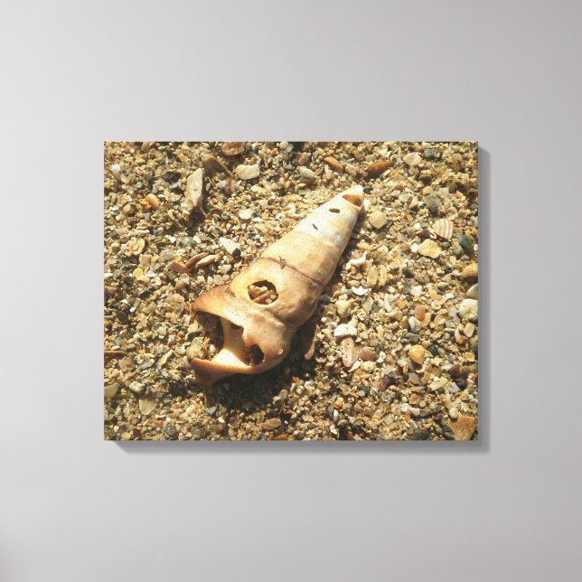 Impressão Em Tela Unicorn Shell na Praia (Frente)